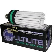 300 w CFL + Filtro Anti Odore e Attrezzatura Professionale