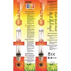 Kit coltivazione indoor con lampada 600 w HPS